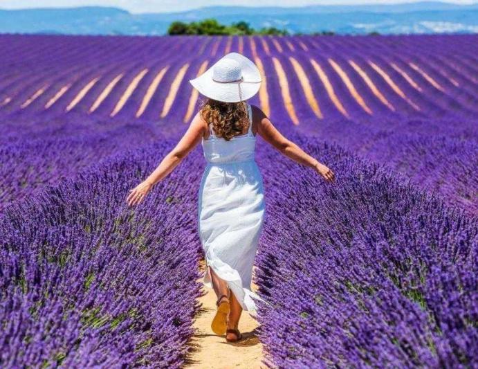 Provence-i ízelítő