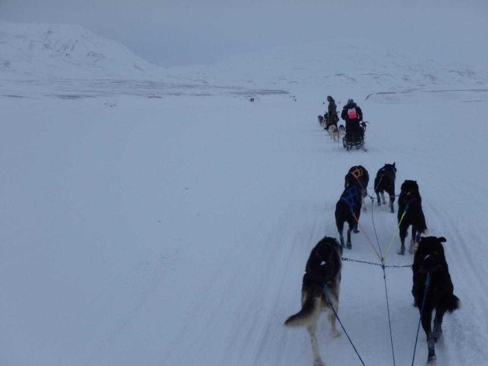 Svalbard - A jégvilág (Spitzbergák)
