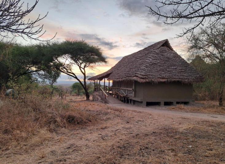 Szafari Tanzániában, zanzibári pihenéssel