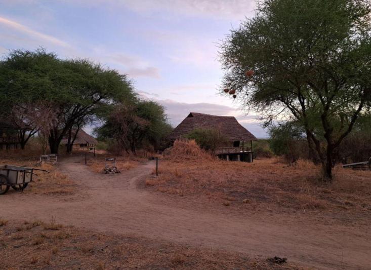 Szafari Tanzániában, zanzibári pihenéssel