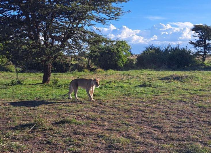 Szafari Tanzániában, zanzibári pihenéssel