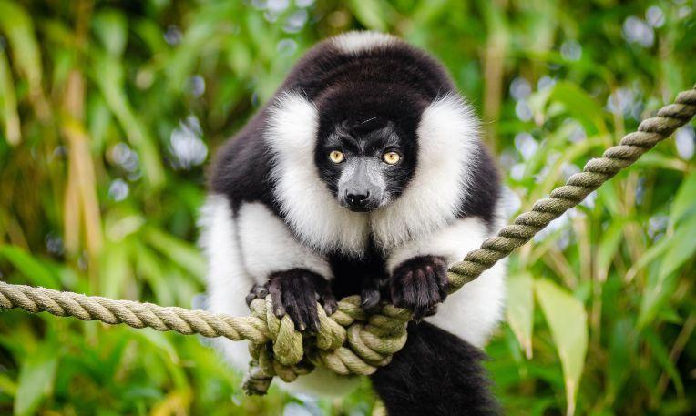 Szilveszter Madagaszkáron
