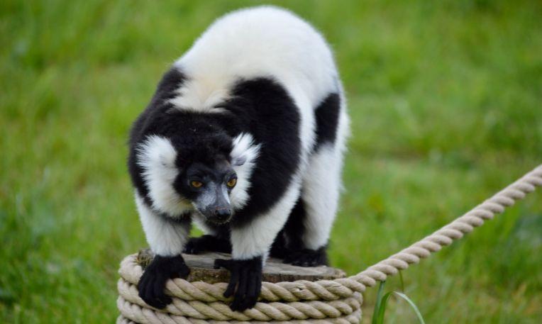 Szilveszter Madagaszkáron