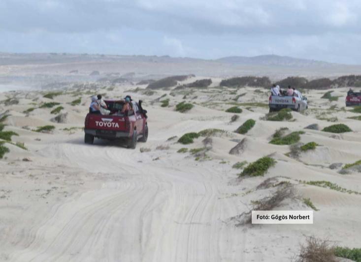 Zöld-foki Köztársaság - Cabo Verde kreol karnevál