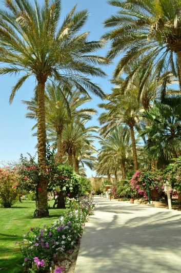 Marsa Alam utazás Hotel Brayka Bay Resort