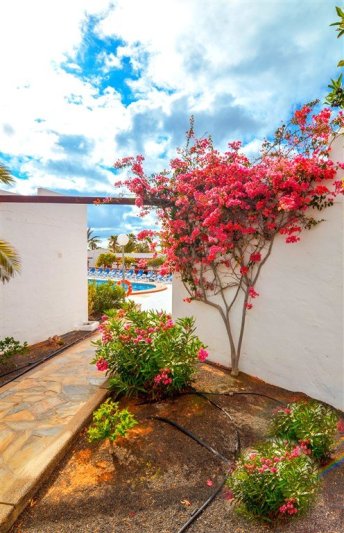 Castillo Beach Bungalows Fuerteventura