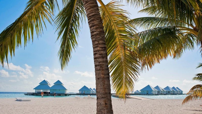 Maldív-szigetek utazás Diamonds Athuruga Island Resort