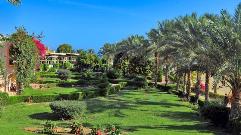 Marsa Alam utazás Dream Lagoon & Aqua Park Resort