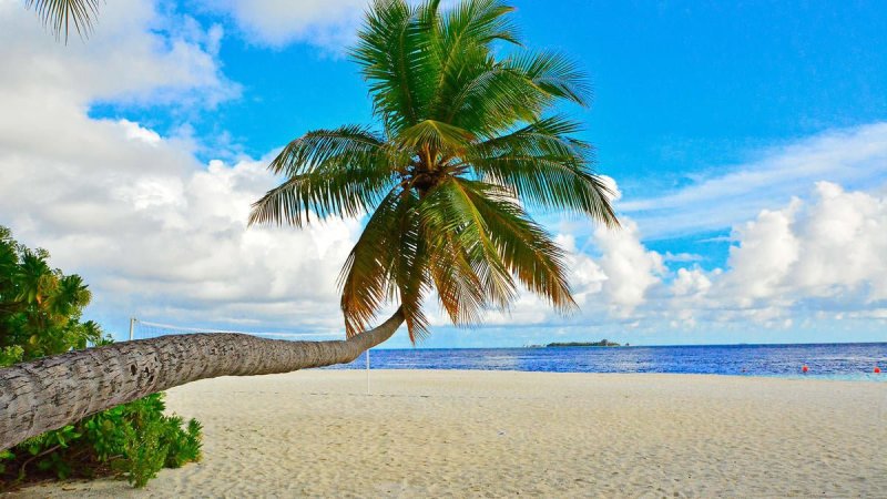 Maldív-szigetek utazás Fihalhohi Island Resort