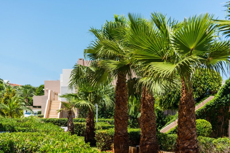 Grand Holiday Resort Kréta Hersonissos