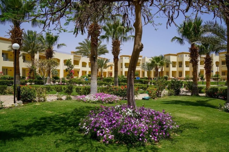 Marsa Alam utazás Hotel Blue Reef Resort