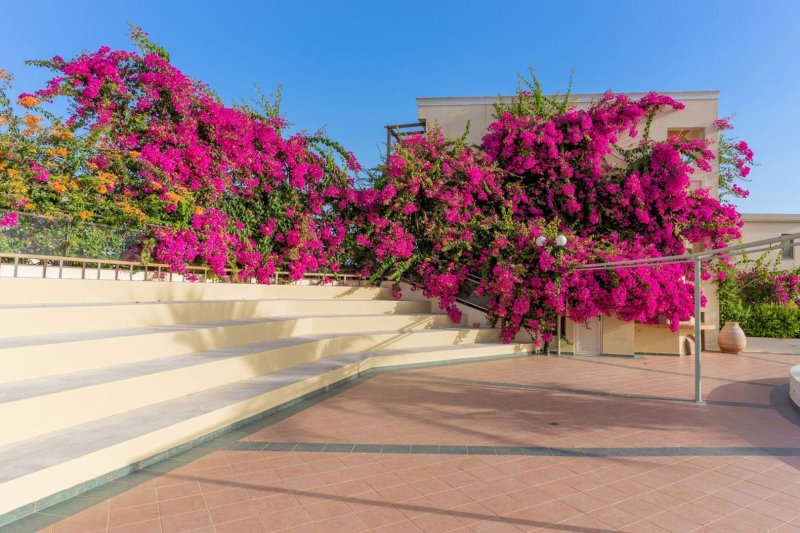 Hotel Hydramis Palace Beach Resort Kréta Georgioupolis