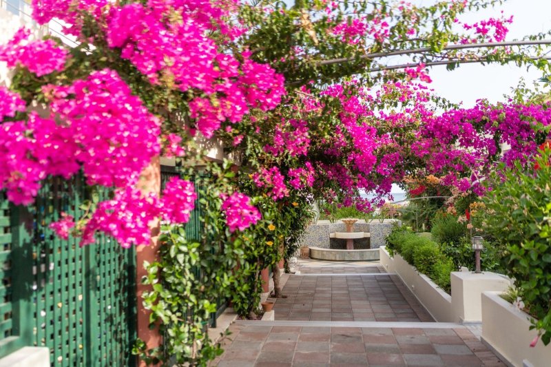 Kréta Georgioupolis utazás Hotel Hydramis Palace Beach Resort