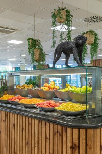 Mallorca Alcudia utazás Hotel Innside Alcudia