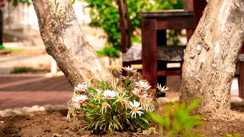 Albánia utazás Hotel Marika