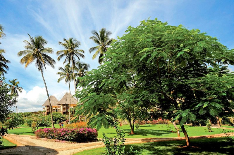 Neptune Pwani Beach Resort and Spa Zanzibár
