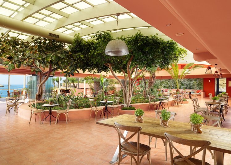 Kréta Agia Pelagia utazás Hotel Out of The Blue