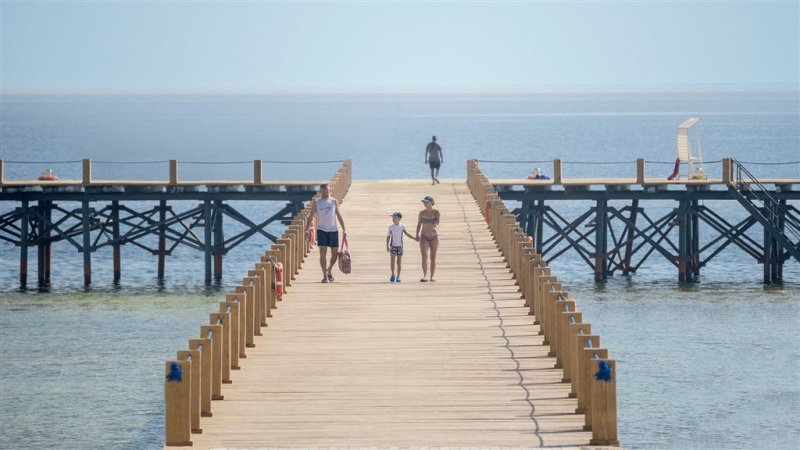 Marsa Alam utazás Pickalbatros - Albatros Sea World