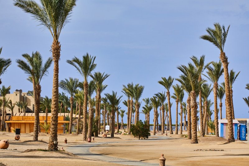 Marsa Alam utazás Pickalbatros Palace Port Ghalib