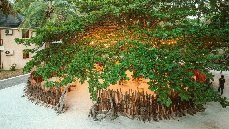 Sansi Kae Zanzibar Zanzibár
