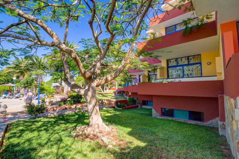 Fuerteventura utazás Hotel SBH Fuerteventura Playa