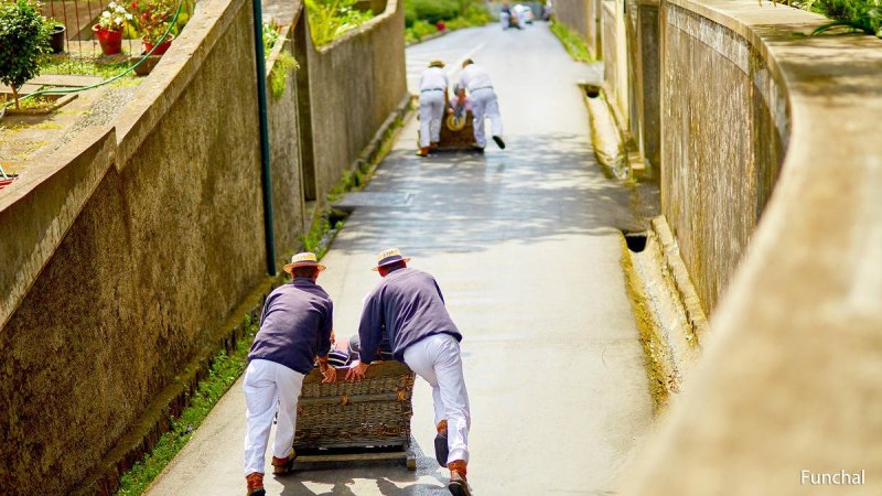 Madeira utazás Madeira csodái