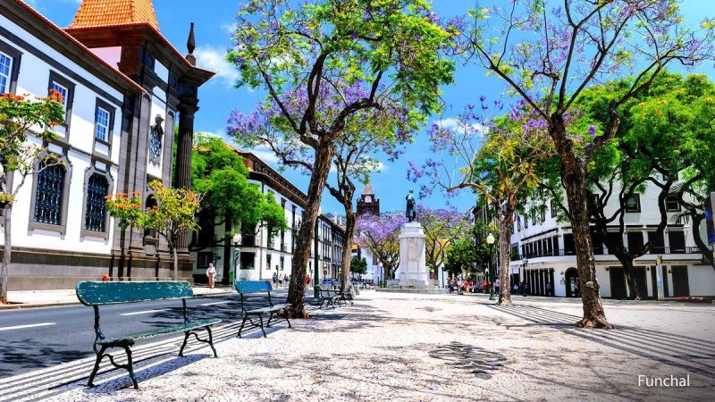 Madeira utazás Madeira csodái