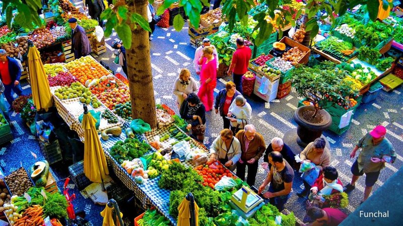 Madeira utazás Madeira csodái