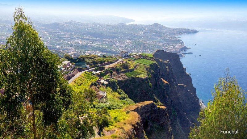 Madeira utazás Madeira csodái