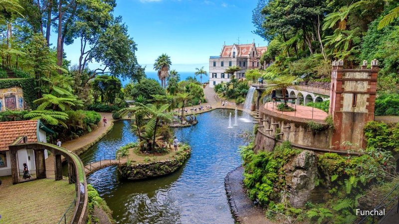 Madeira utazás Madeira csodái