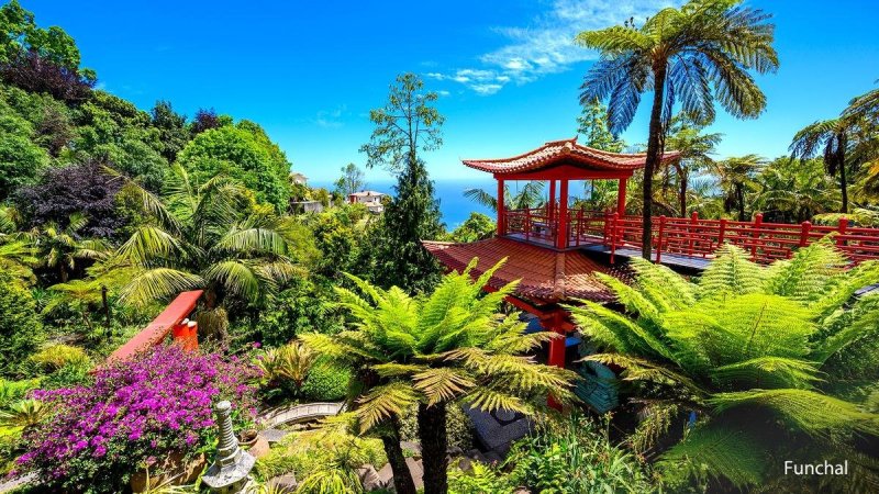 Madeira utazás Madeira csodái