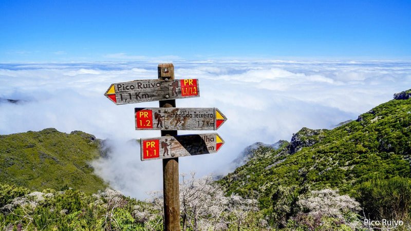 Madeira utazás Madeira csodái