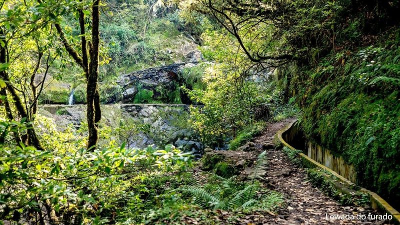 Madeira utazás Madeira csodái