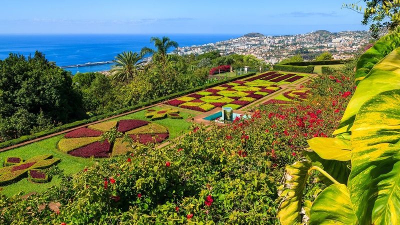 Madeira utazás Madeira Szilveszter