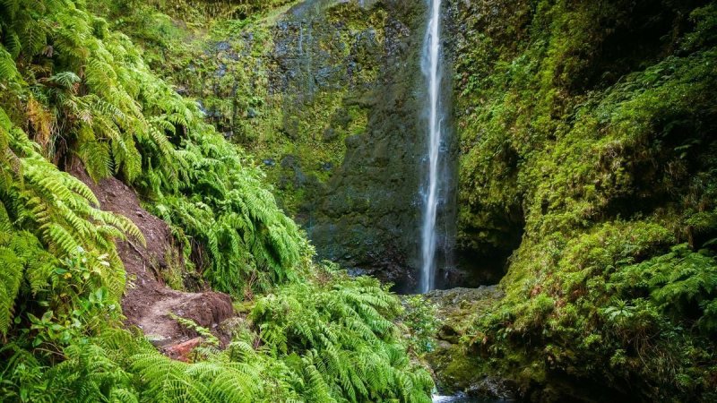 Madeira utazás Madeira Szilveszter
