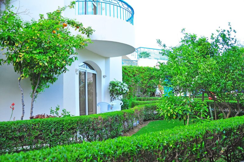 Hurghada utazás Bella Vista Resort