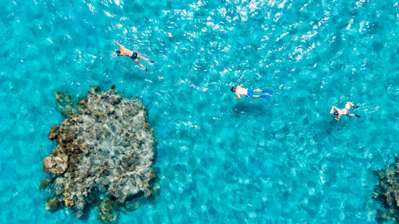 Marsa Alam utazás Hotel Fantazia Resort