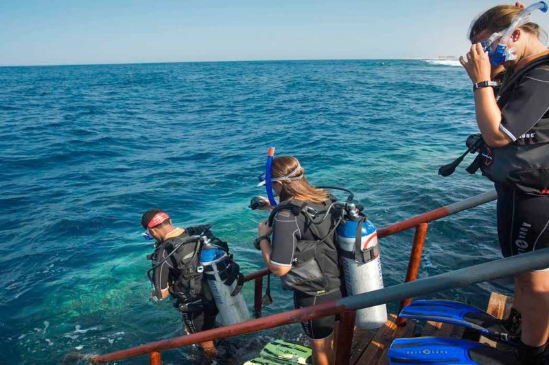Marsa Alam utazás Jaz Grand Marsa Alam