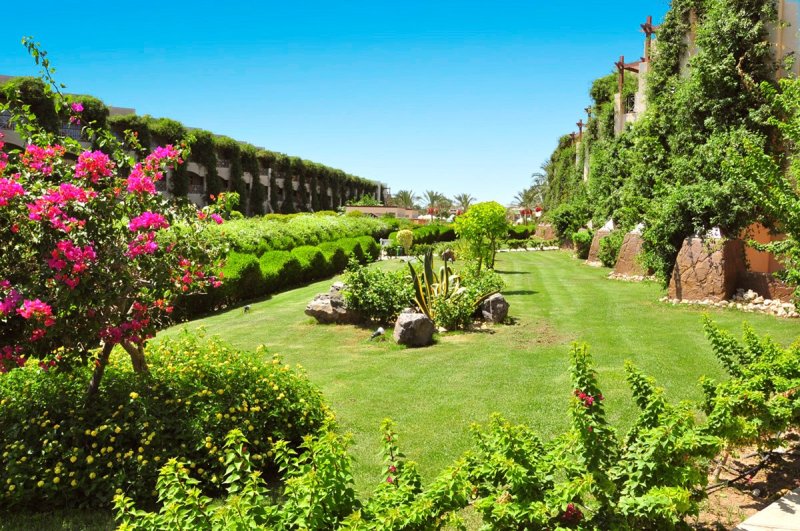 Hurghada utazás Hotel Prima Life Makadi