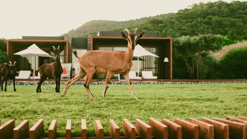 Kemer utazás Maxx Royal Kemer Resort