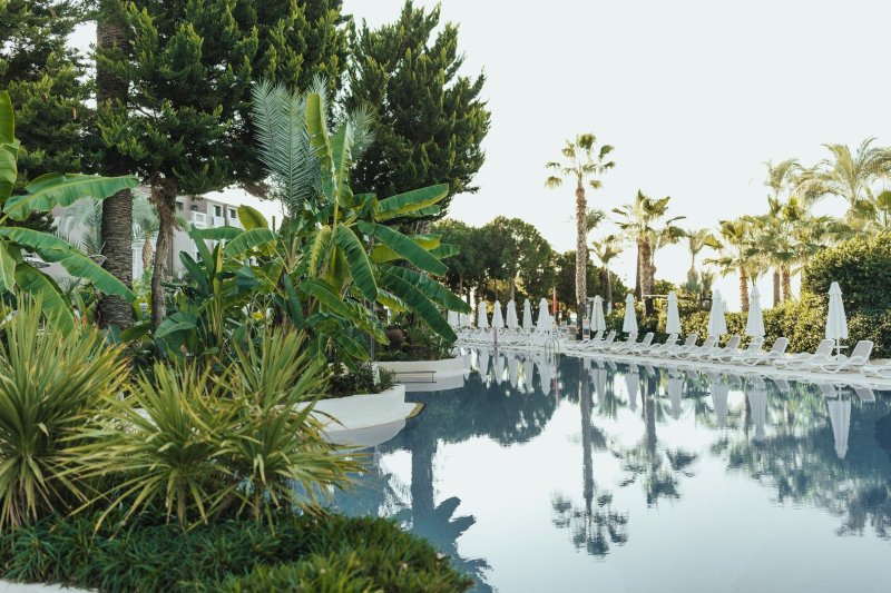 Side utazás Paloma Perissia