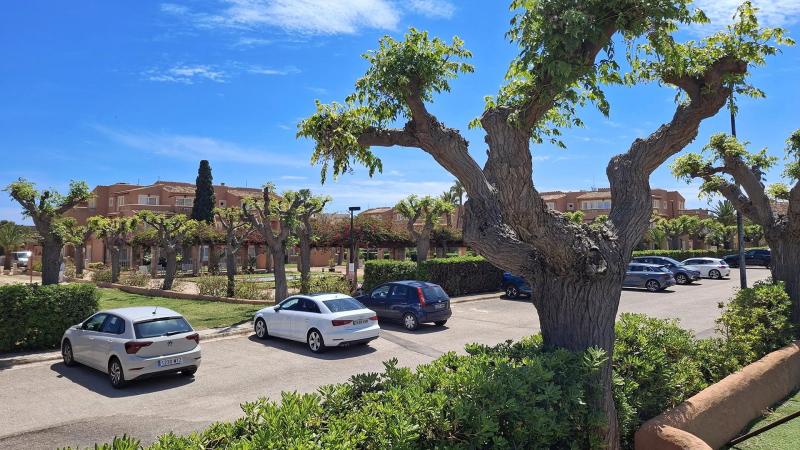 Aparthotel Ciudad Laurel Mallorca