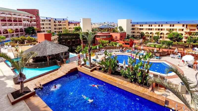 Best Jacaranda Tenerife