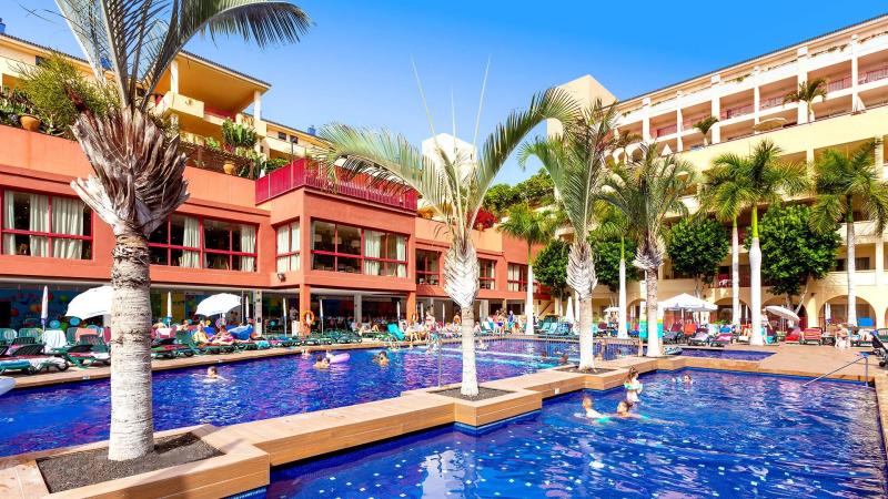 Best Jacaranda Tenerife