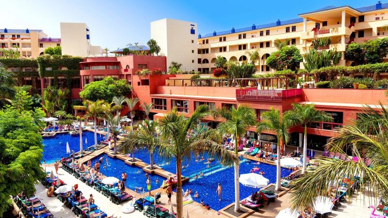 Best Jacaranda Tenerife