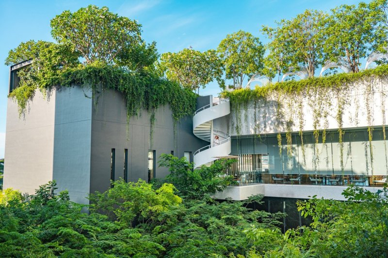 Bangkok Hua Hin Hotel dusitD2 Hua Hin