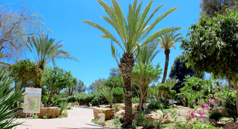 Royal Karthago Djerba