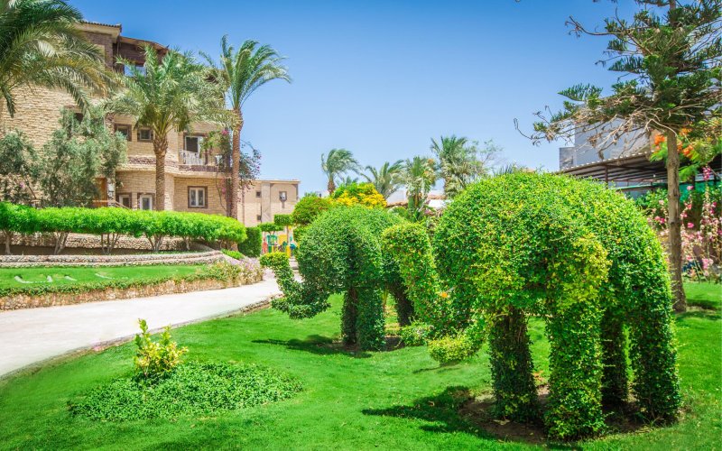 Seagull Beach Resort Hurghada