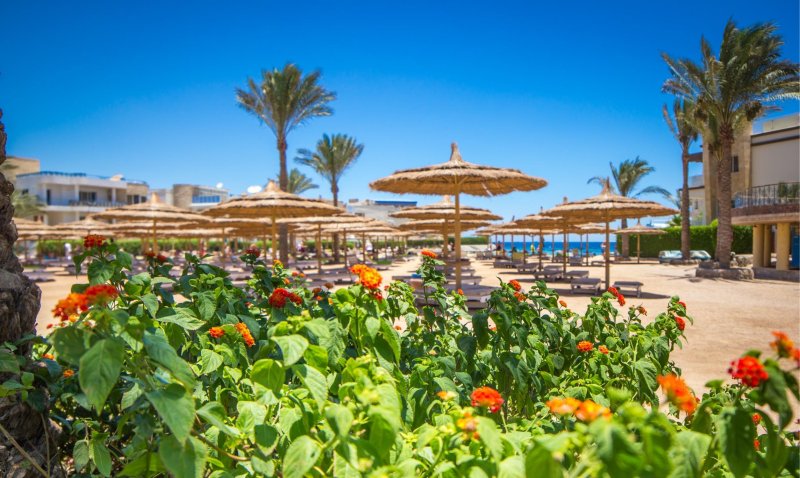 Seagull Beach Resort Hurghada