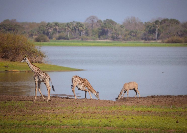 Zanzibár és vad Afrika körutazás